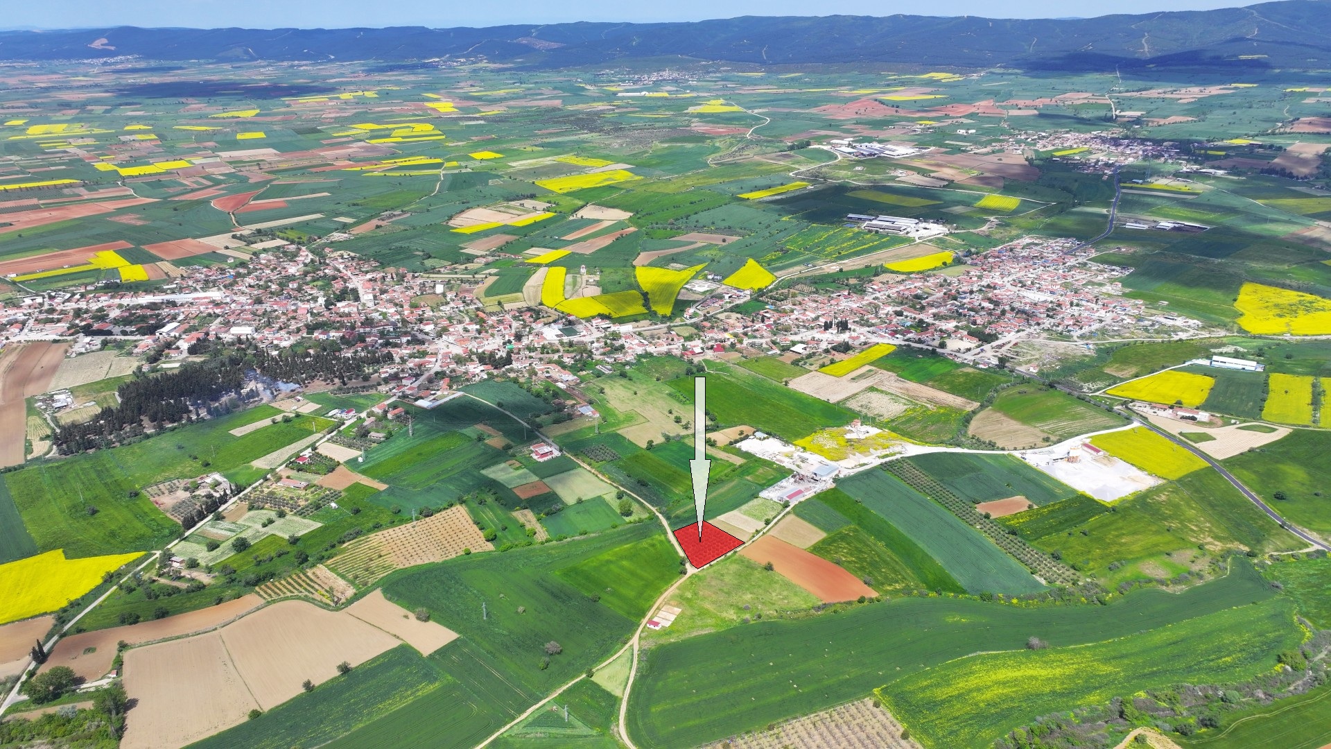 ÇANAKKALE GELİBOLU EVREŞEDE 2,674m2 SANAYİ İMARLI ZEYTİNLİK