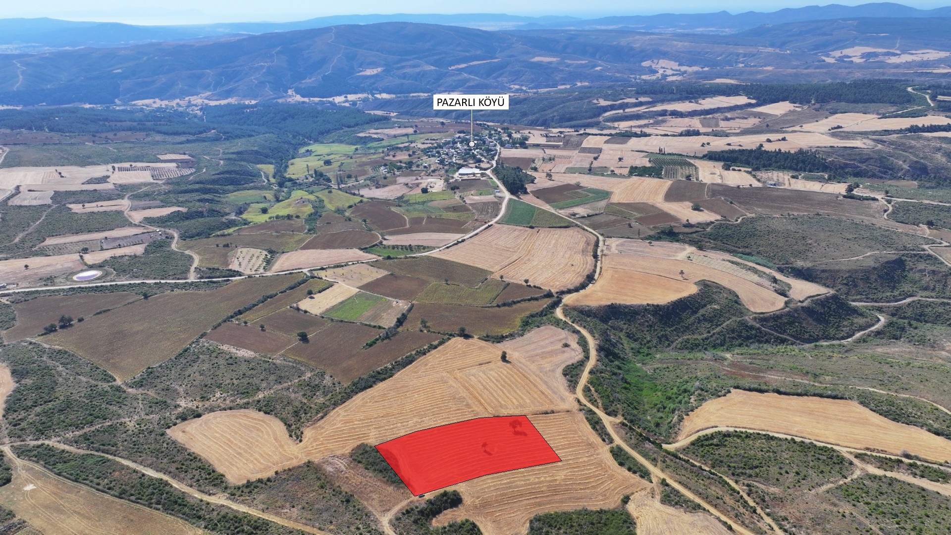 ÇANAKKALE GELİBOLU PAZARLI'DA MÜSTAKİL TAPULU 6,964m2 TARLA