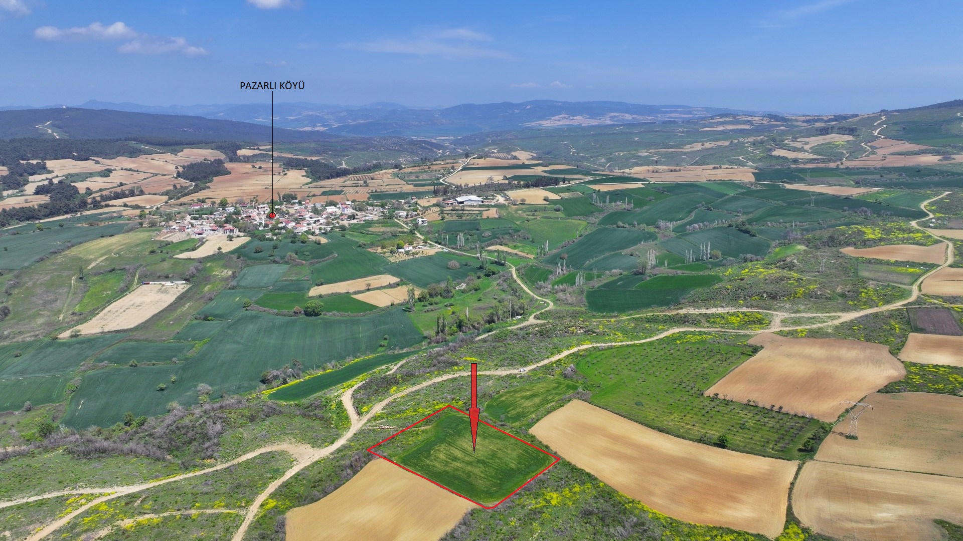 ÇANAKKALE GELİBOLU PAZARLI'DA DOĞA İLE İÇ İÇE 4,899m2 TARLA