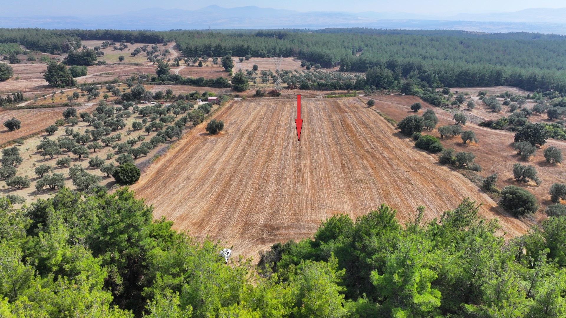 ÇANAKKALE ECEABAT YALOVA'DA 19,479m2 TARLA