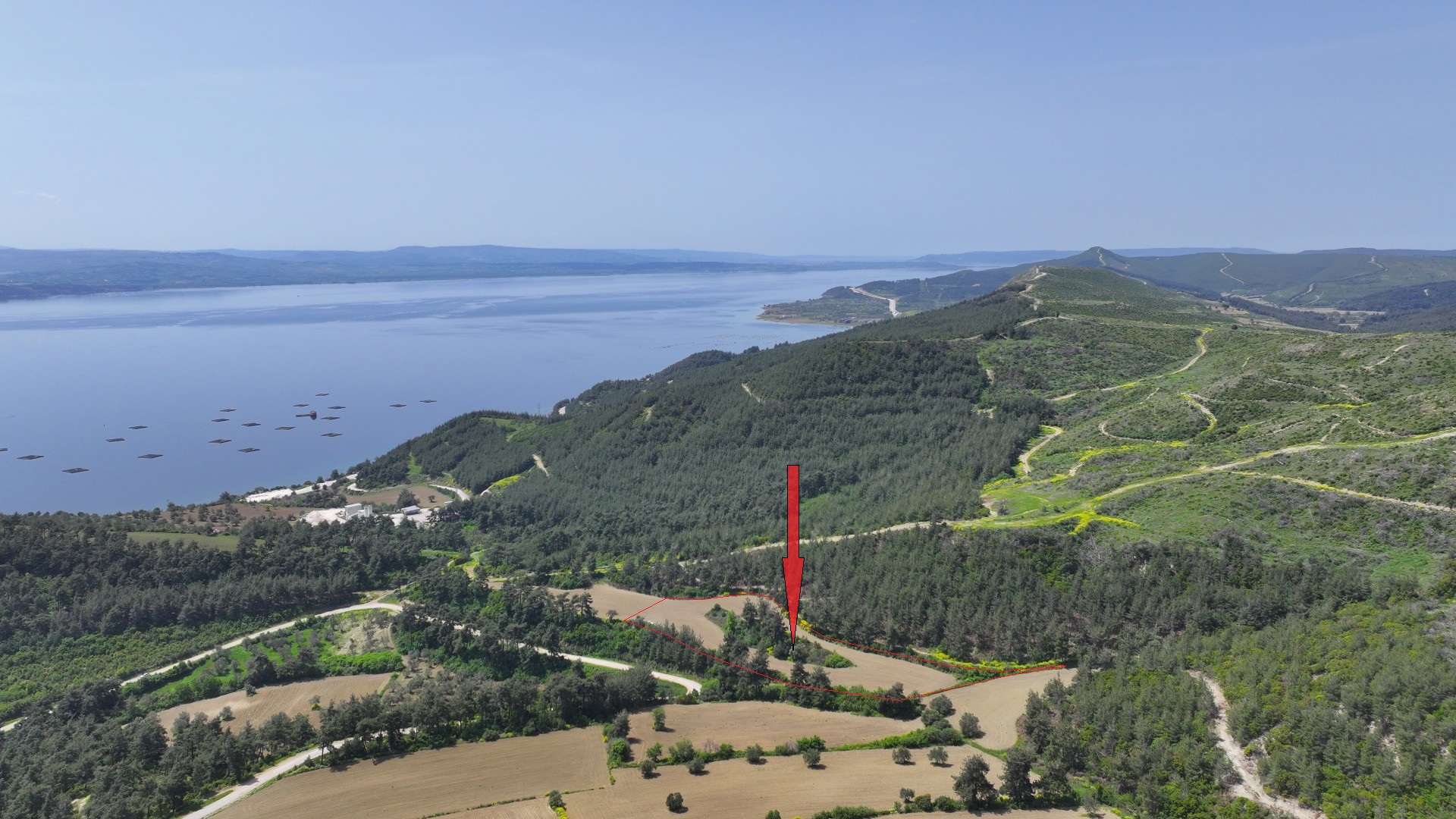 ÇANAKKALE GELİBOLU PAZARLIDA MÜSTAKİL TAPULU 6,517m2 TARLA
