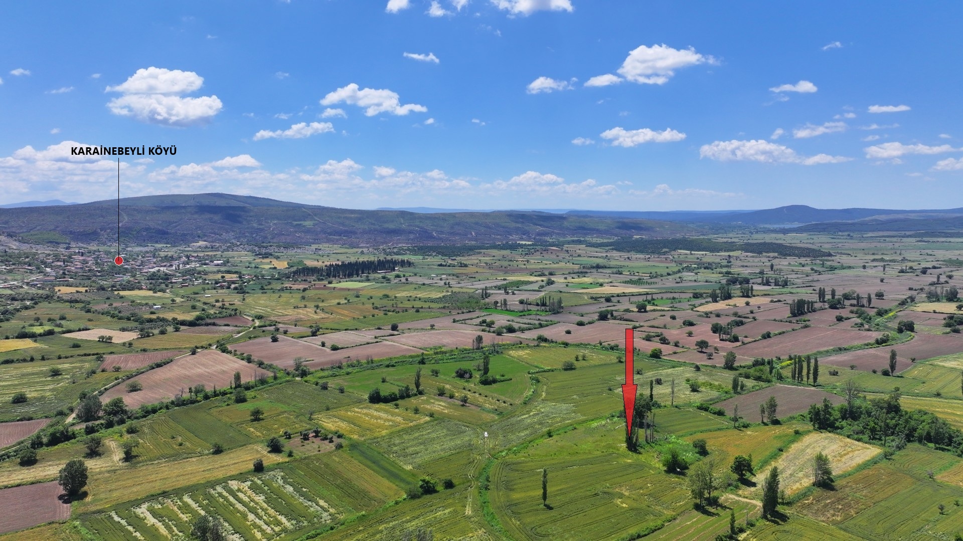 ÇANAKKALE GELİBOLU KARAİNEBEYLİ KÖYÜNDE 6,029m2 TARLA