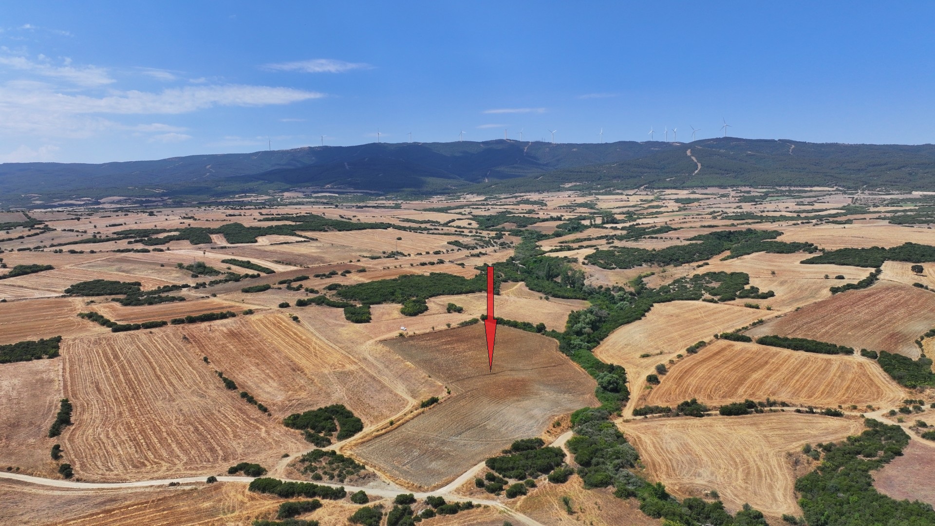 ÇANAKKALE GELİBOLU BAYRAMİÇ KÖYÜ'NDE 10.382 m² MÜSTAKİL TAPULU TARLA
