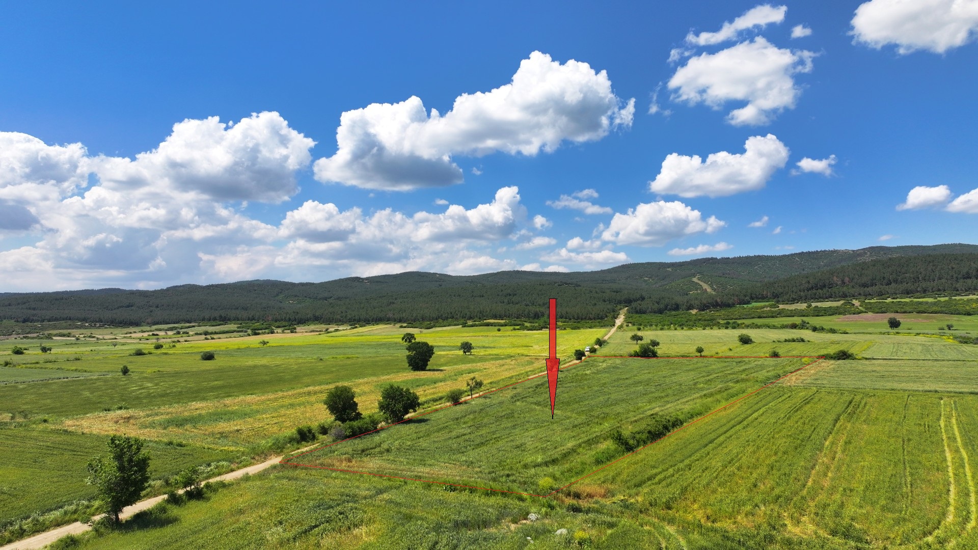 ÇANAKKALE GELİBOLU SÜLEYMANİYEDE MÜSTAKİL TAPULU 9,172m2 TARLA